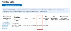 Что такое кпп у ип в реквизитах