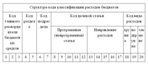 Из Чего Состоит Кбк Расходов Бюджетной Организации Пример