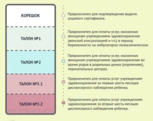 Сколько по родовому сертификату получает роддом