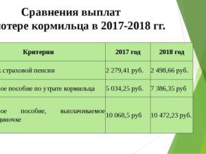 Размер Пенсии По Потере Кормильца В Московской Области 2021