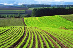 Что значит земля для сельскохозяйственного производства что