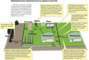 В Каких Случаях П Снт Может Правление Стн Может Оштрафовать За Нескошенную Траву На Участке