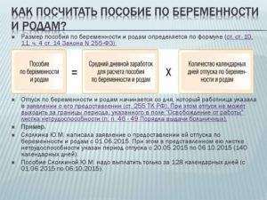 В Течение Скольки Дней Должны Оплатить Декретные В Рб?