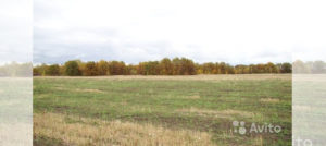 Сколько стоит пай земли в орловской области