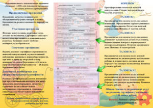 Сколько по родовому сертификату получает роддом