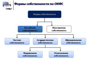 Форма собственности организации код по окфс